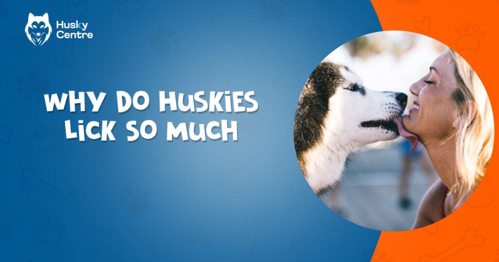 Why Do Huskies Lick So Much