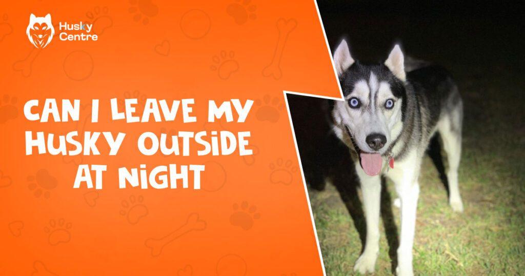 Can I Leave My Husky Outside at Night