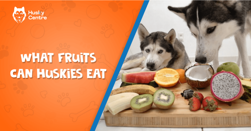 What Fruits Can Huskies Eat