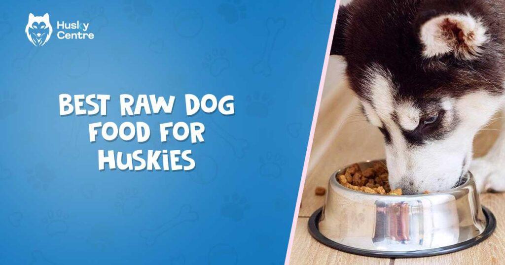 Best Raw Dog Food for Huskies