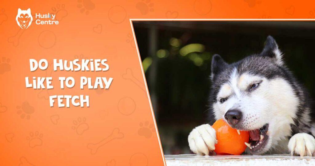 Do Huskies Like to Play Fetch