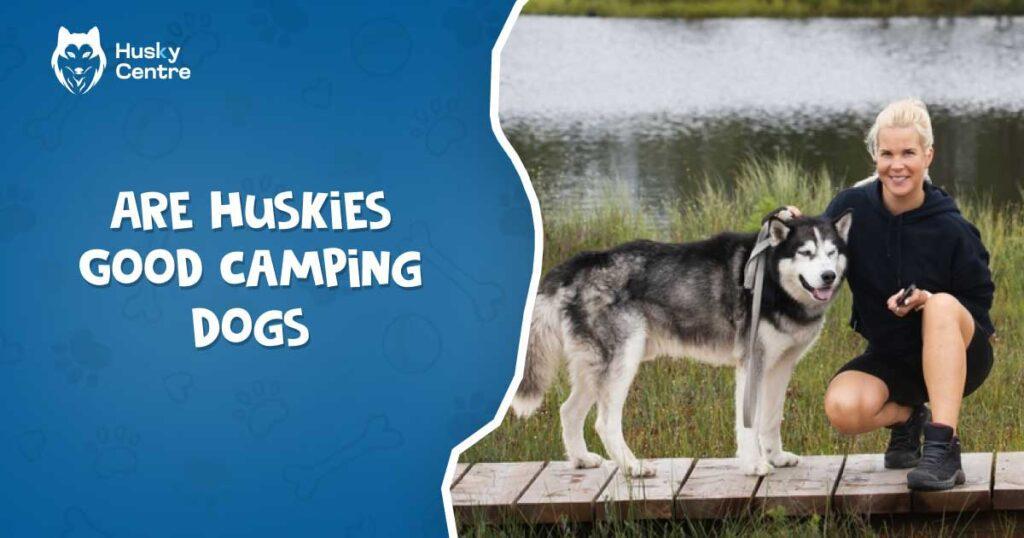 Are Huskies Good Camping Dogs