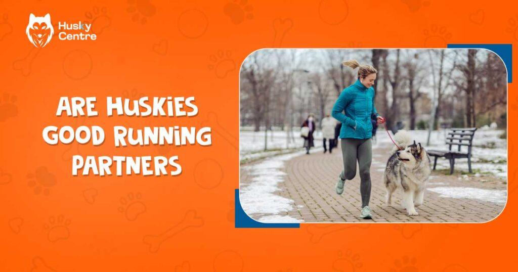 Are Huskies Good Running Partners