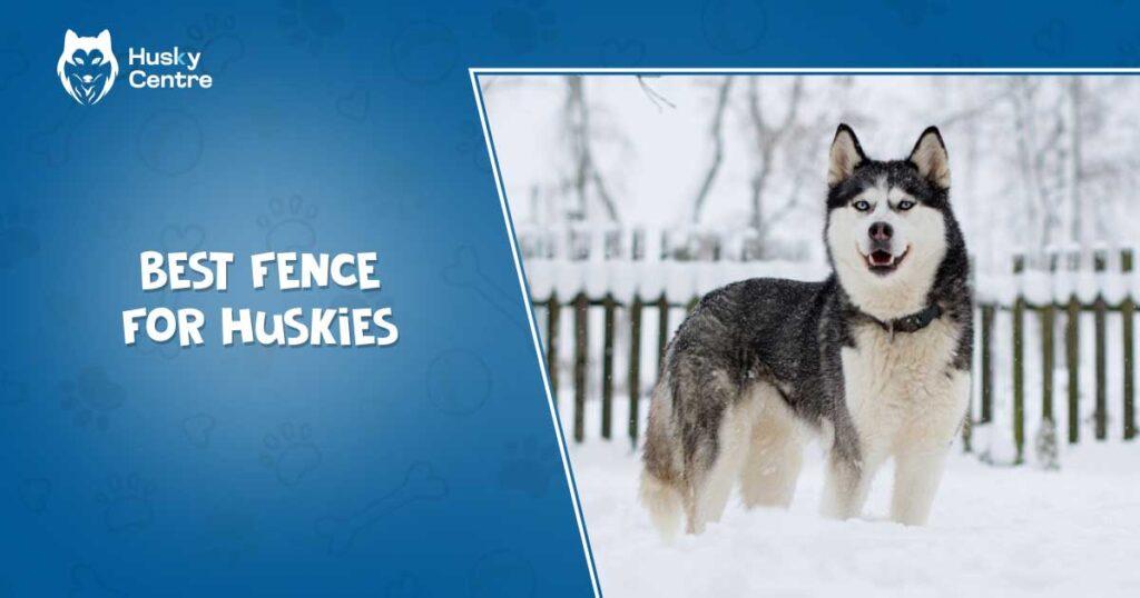 best fence for huskies