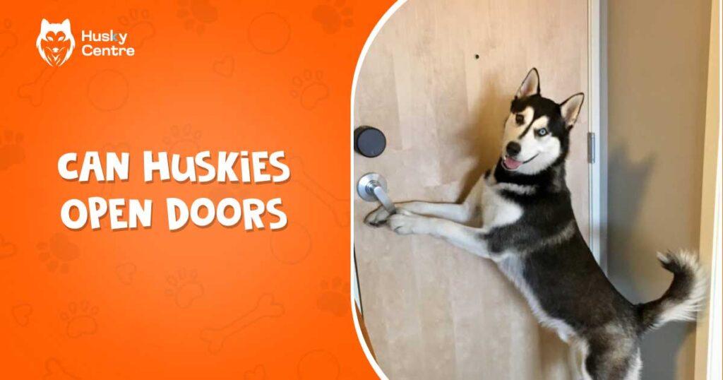 Can Huskies Open Doors