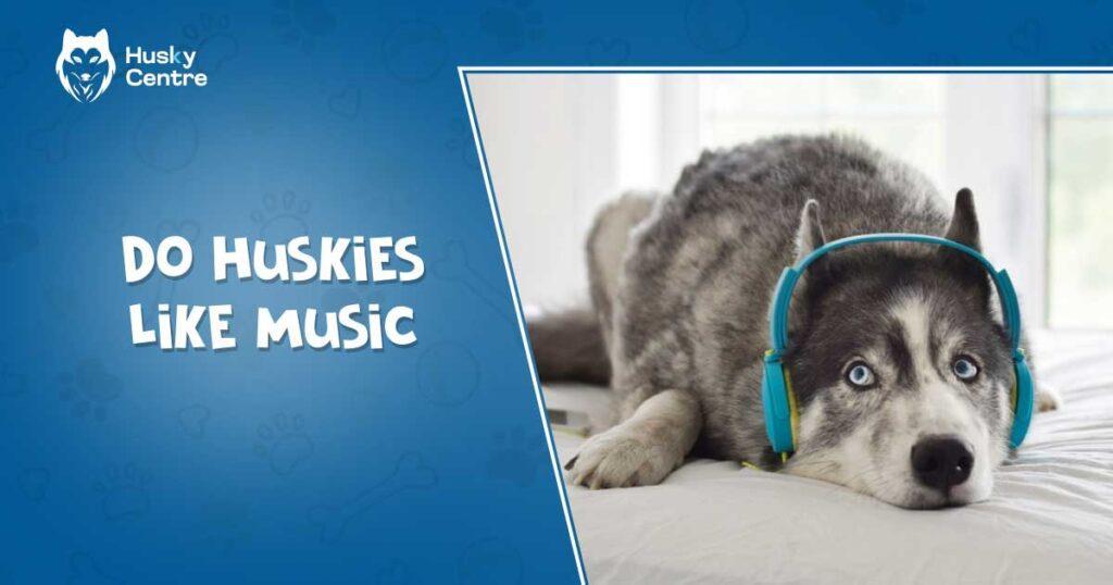 Do Huskies Like Music