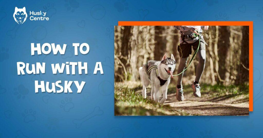 How to Run With a Husky