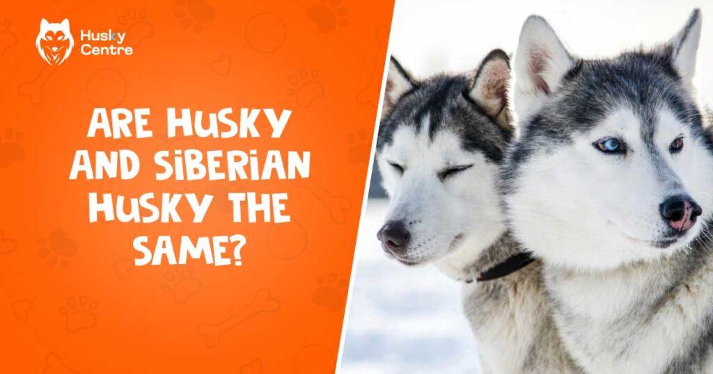 Are Husky and Siberian Husky the same?